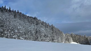 Le Pont - Dent de Vaulion Rando 2020