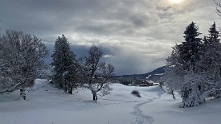 Le Pont - Dent de Vaulion Rando 2020