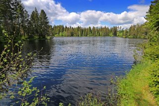 Etang de la Gruère 964 m Balade 2020