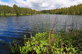 Etang de la Gruère 964 m Balade 2020