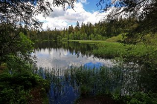 Etang de la Gruère 964 m Balade 2020