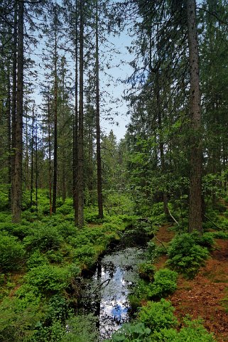 Etang de la Gruère 964 m Balade 2020