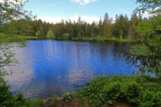 Etang de la Gruère 964 m Balade 2020