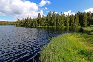 Etang de la Gruère 964 m Balade 2020