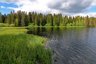 Etang de la Gruère 964 m Balade 2020