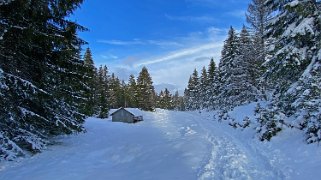 Le Revers - Lac de Joux Rando 2020