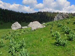 Chalet des Roches Eboulées Rando 2020