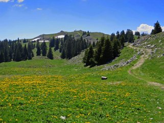 Mont Tendre 1679 m Rando 2020