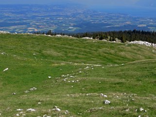 Mont Tendre 1679 m Rando 2020