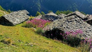 Le Louché - Val d'Arolla Rando 2021