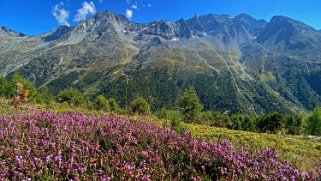 Val d'Arolla Rando 2021