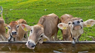 Silwäge - Biosphère de l'Entlebuch Rando 2021