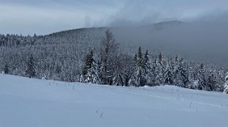 Châtel Rando 2021