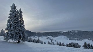 Combe de la Neige Rando 2021