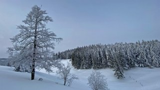 Combe de la Neige Rando 2021