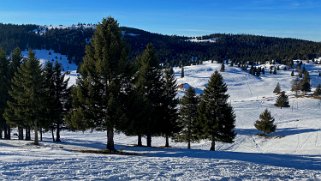 Combe de la Neige Rando 2021