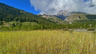 Lac de Derborence 1451 m Rando 2021