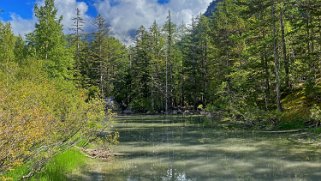 Lac de Derborence 1451 m Rando 2021