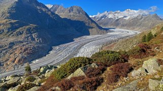 Glacier d'Aletsch Rando 2021