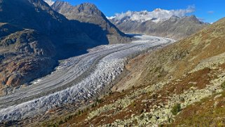 Glacier d'Aletsch Rando 2021