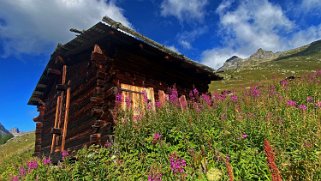 Lauchernalp - Lötschental Rando 2021