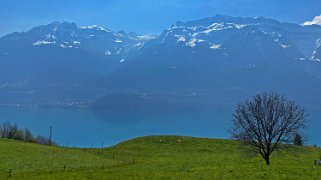 Lac de Brienz Rando 2021