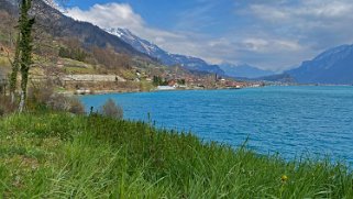 Brienz - Lac de Brienz Rando 2021