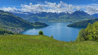 Vitznau - Lac des Quatre-Cantons Rando 2021