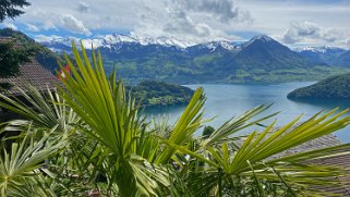 Lac des Quatre-Cantons Rando 2021