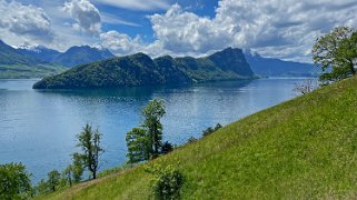 Lac des Quatre-Cantons Rando 2021