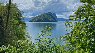 Vitznau - Lac des Quatre-Cantons Rando 2021