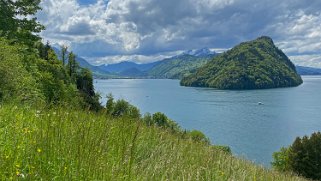 Vitznau - Lac des Quatre-Cantons Rando 2021