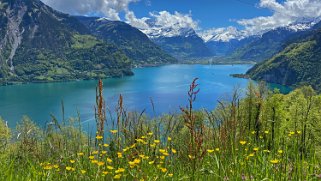 Lac des Quatre-Cantons Rando 2021