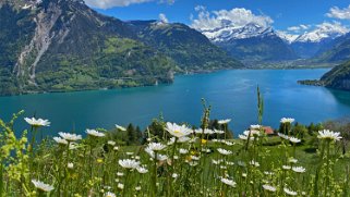 Lac des Quatre-Cantons Rando 2021