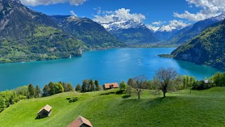 Lac des Quatre-Cantons Rando 2021