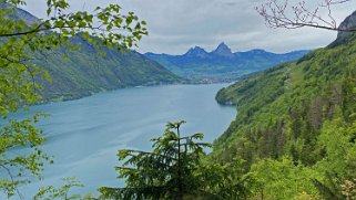 Lac des Quatre-Cantons Rando 2021