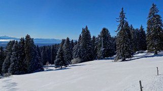 Le Chasseron Rando 2021