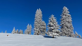 Le Chasseron Rando 2021