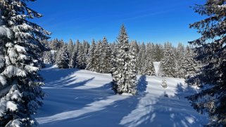 Le Chasseron Rando 2021