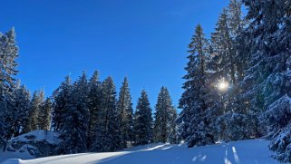 Le Chasseron Rando 2021