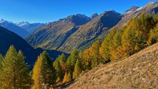 Lauchernalp - Lötschental Rando 2021