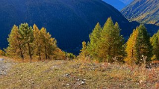 Lauchernalp - Lötschental Rando 2021