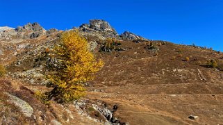 Lauchernalp - Lötschental Rando 2021