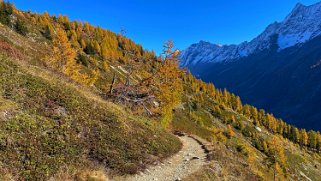 Lötschental Rando 2021