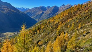 Lötschental Rando 2021