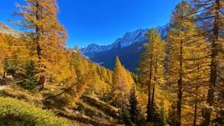 Lötschental Rando 2021