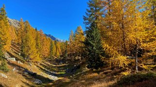 Lötschental Rando 2021