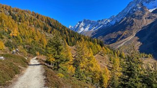 Lötschental Rando 2021