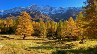 Fafleralp - Lötschental Rando 2021