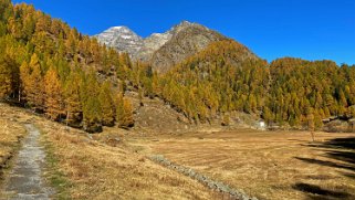 Lötschental Rando 2021